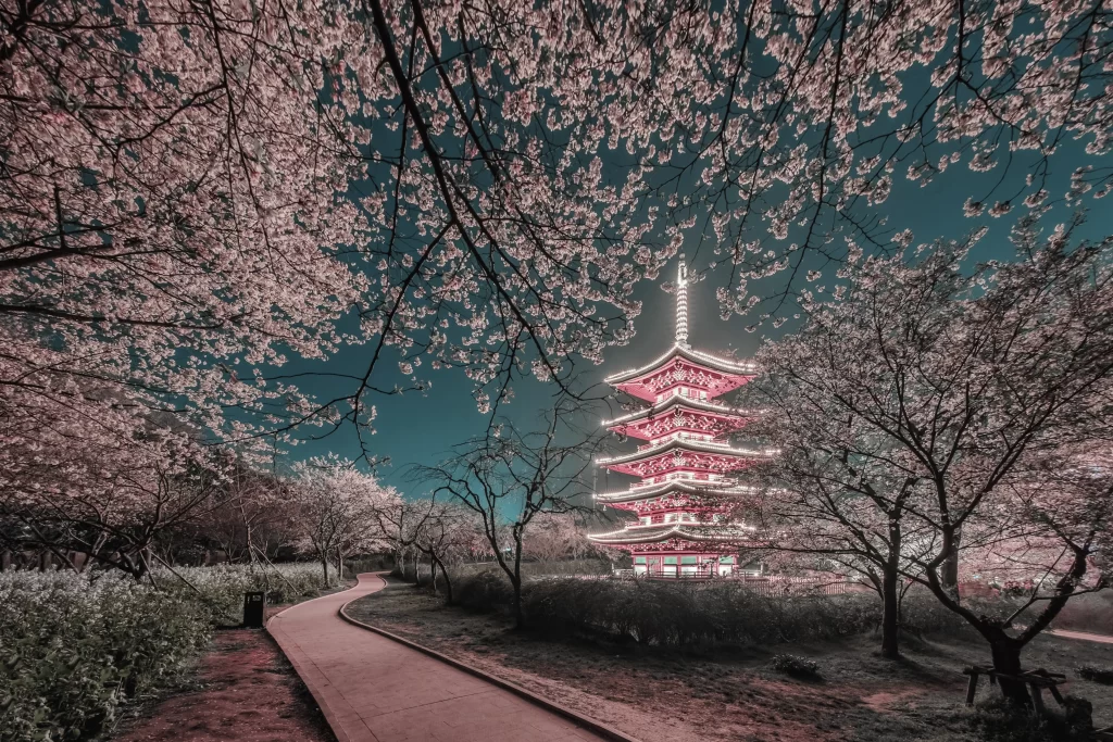 Cherry Blossom Pink White Tower Night Sky