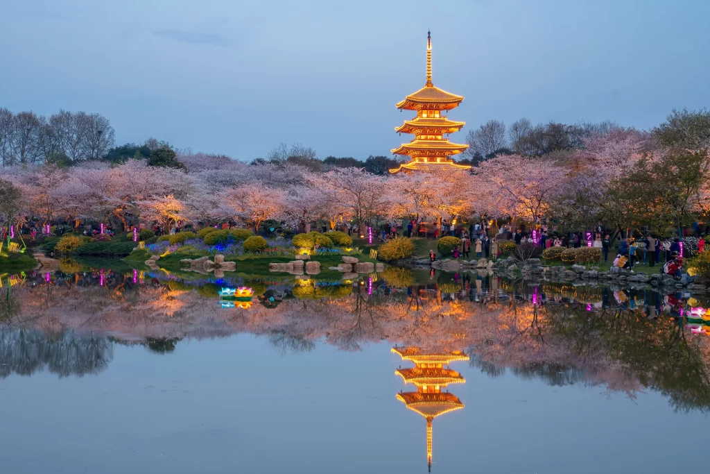 Cherry Blossom Pink White Gold Blue