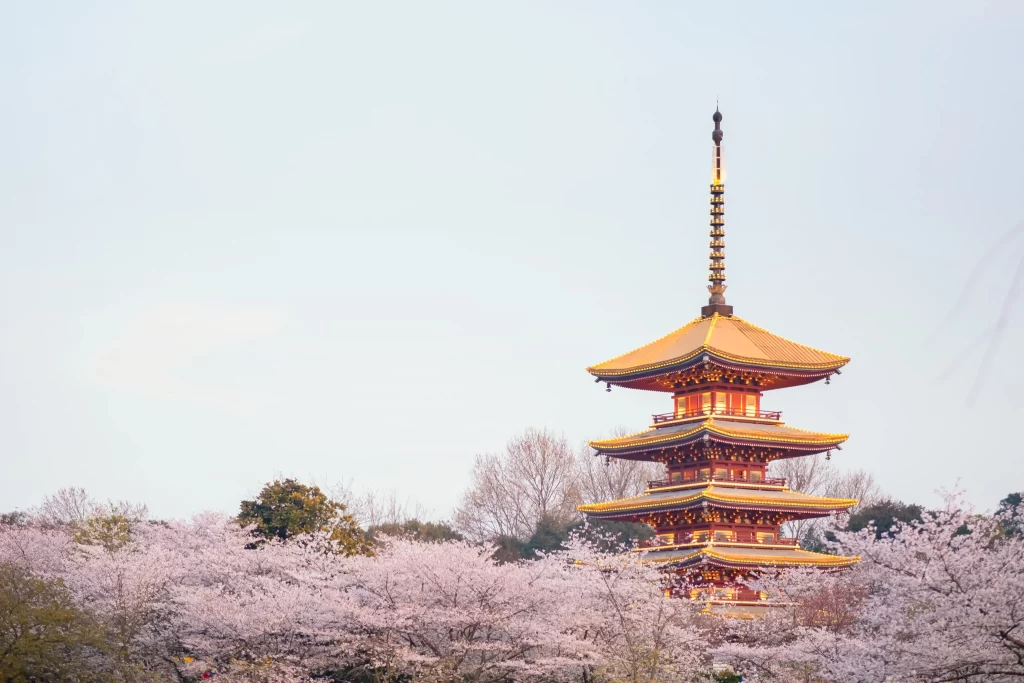 Cherry Blossom Pink White Tower Trees
