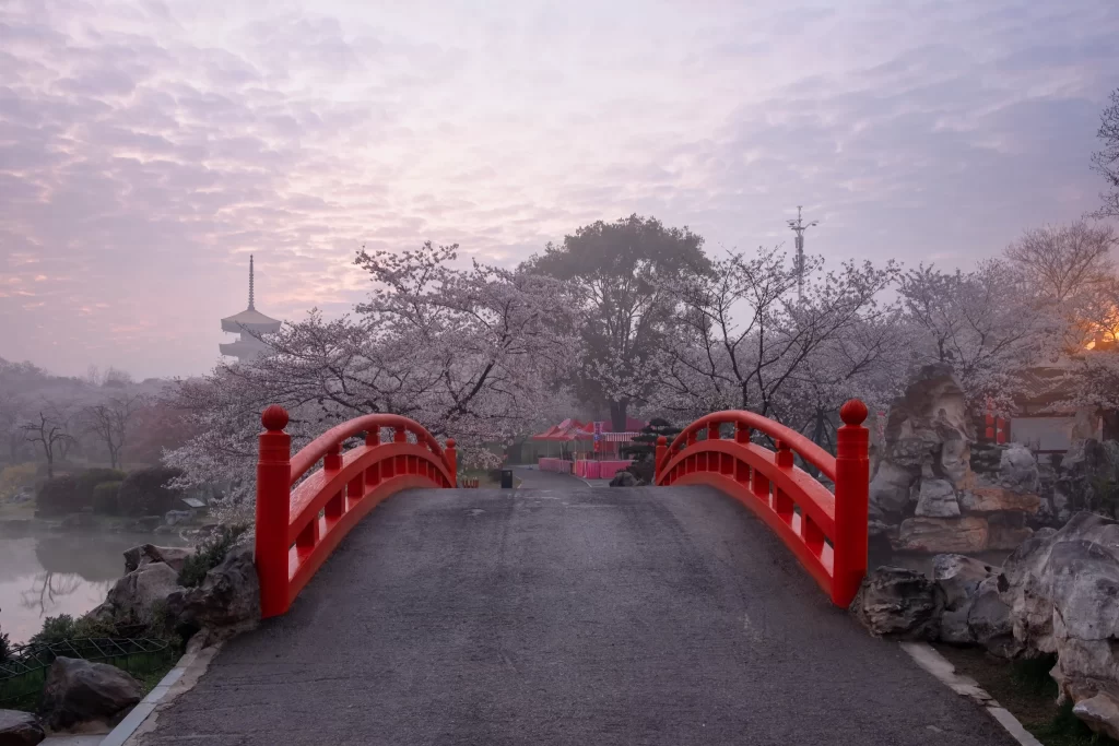 Cherry Blossom Pink White Red Bridge Pathway