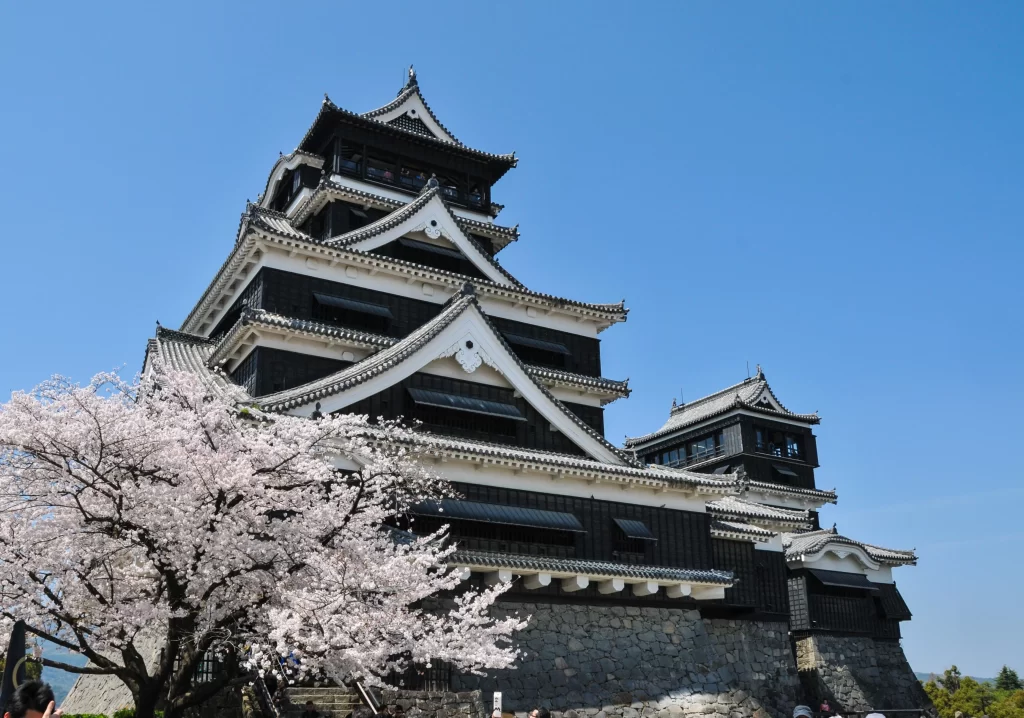 Cherry Blossom Pink White Castle Blue Sky