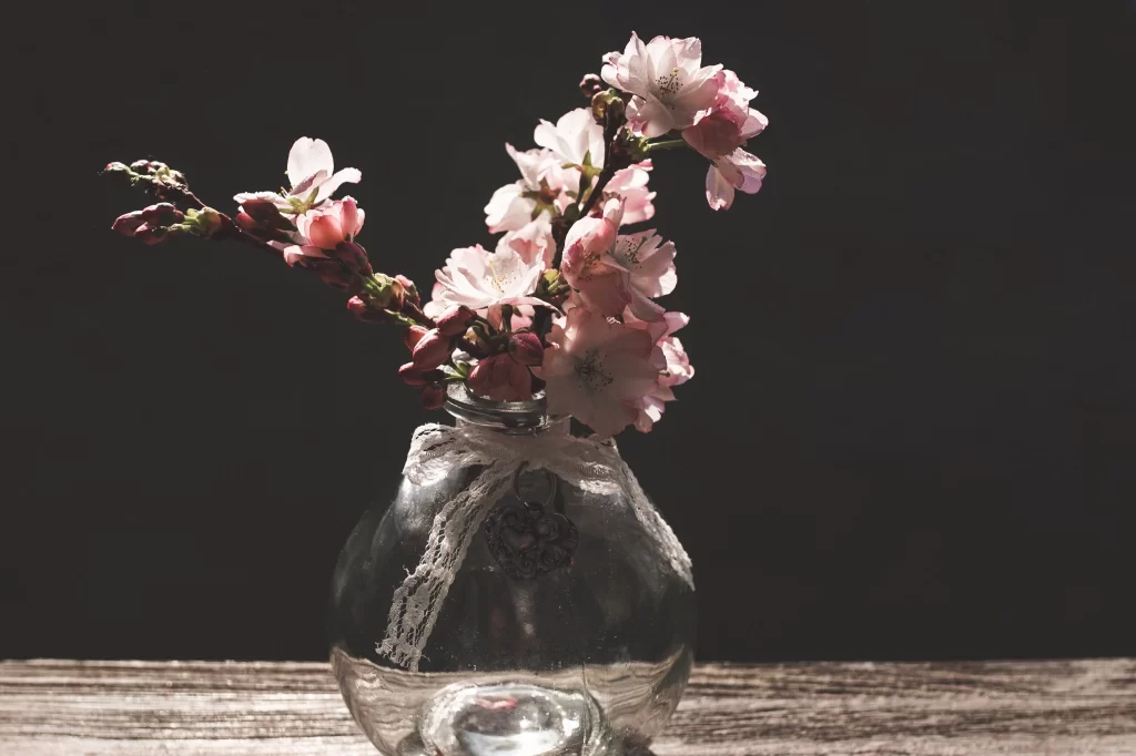 Cherry Blossom Pink White Petals Branches gray Vase