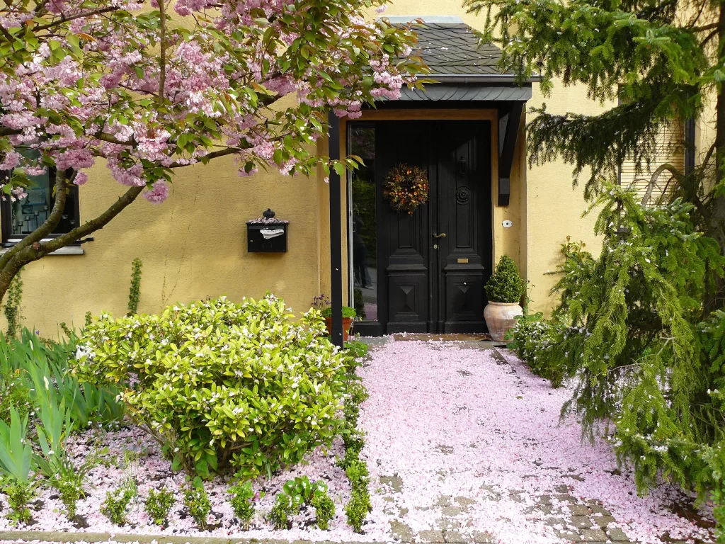 Cherry Blossom Pink White Green Yellow Flower Petal Spring Garden