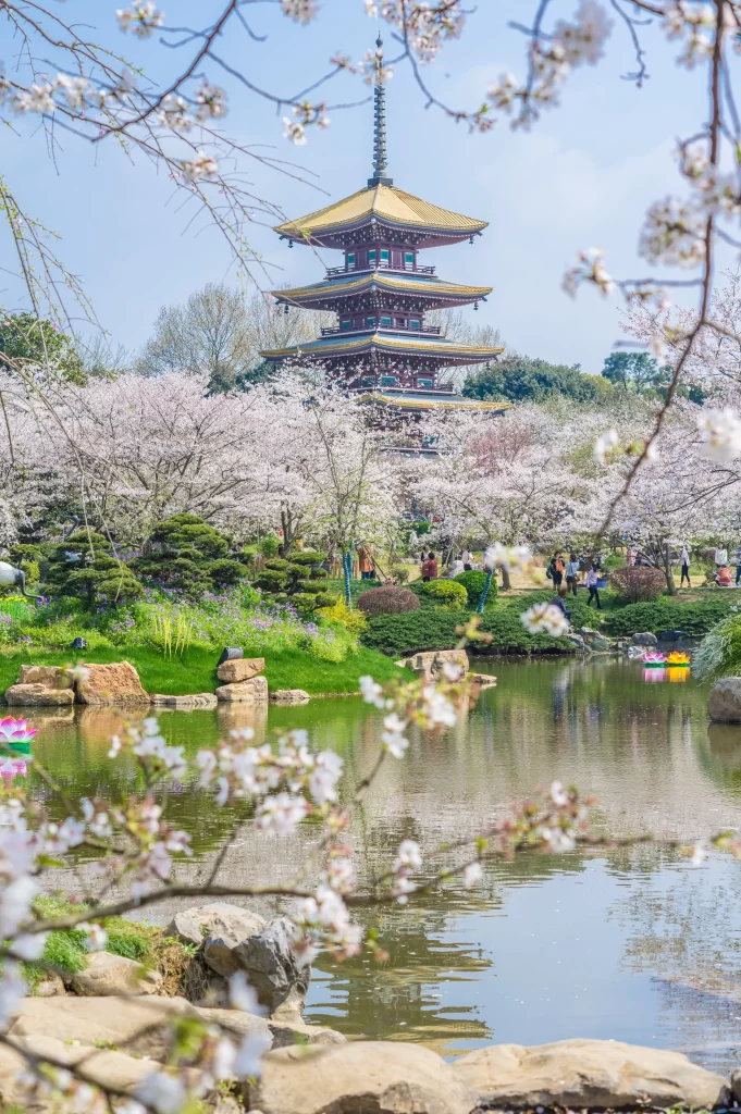 Cherry Blossom Pink White Green Blue gray Sky