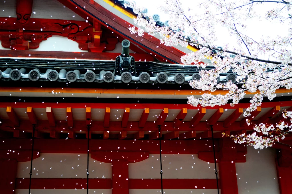 Cherry Blossom White Pink Petals Red Architecture Spring