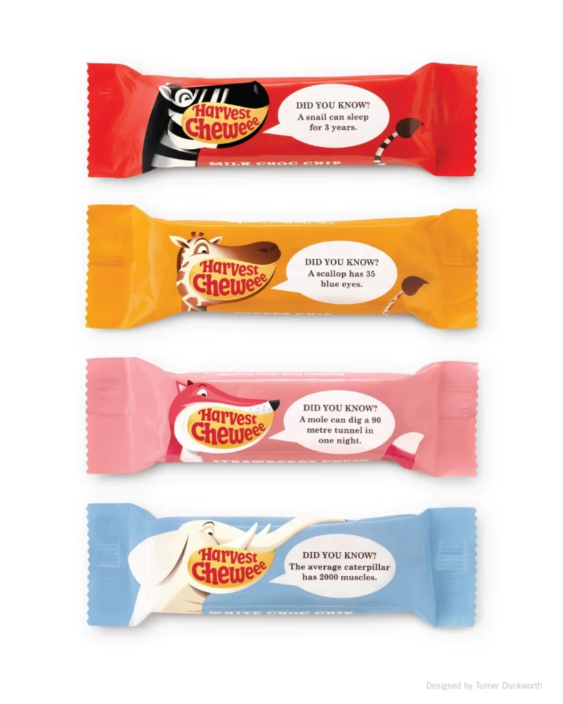 Chocolate Animal Illustration Bright Colors Fun Facts
