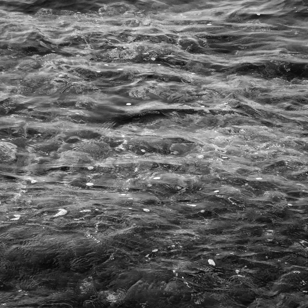 Churning Water Ripples Bubbles Movement Dynamic