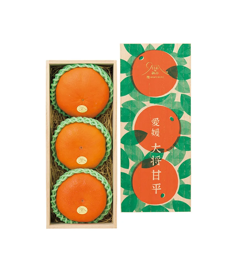 Citrus Fruit Box Green Orange Minimalist Packaging Design