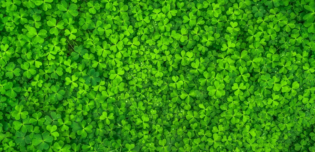 Clover Green Nature Leaves