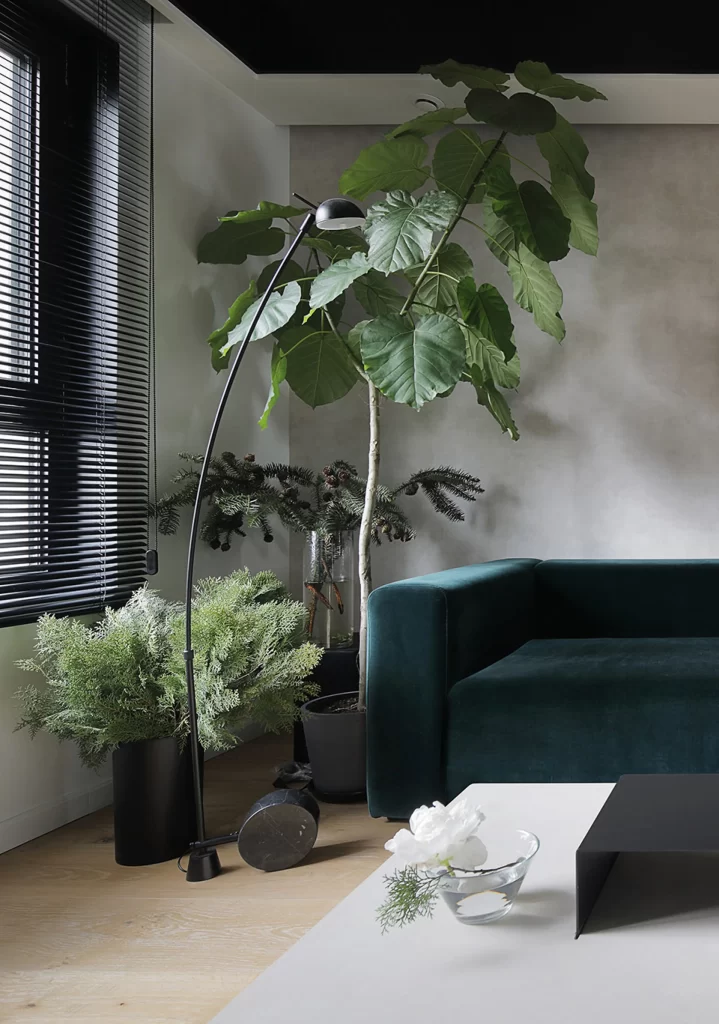 Contemporary Living Room Dark Green Velvet Sofa Neutral Tones Indoor Plants