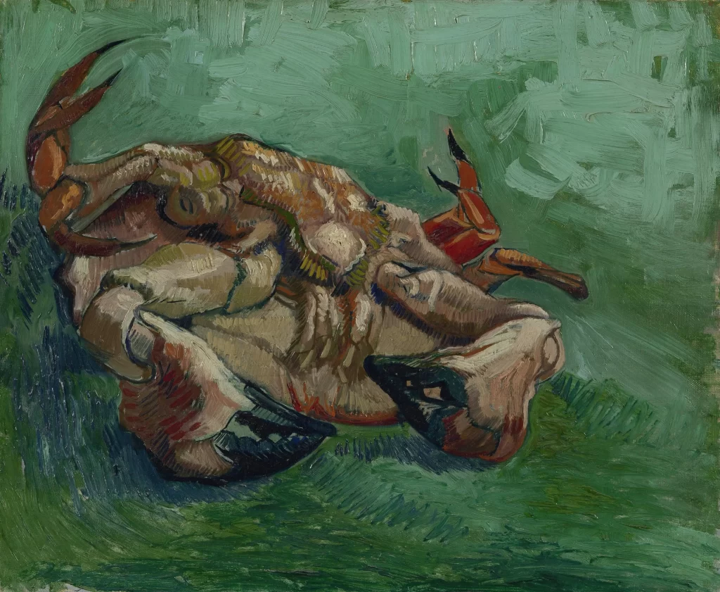 Crab on Its Back Van Gogh