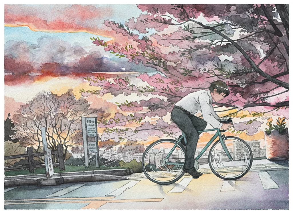 Cycling Cherry Blossoms Sunset Cityscape Mateusz Urbanowicz