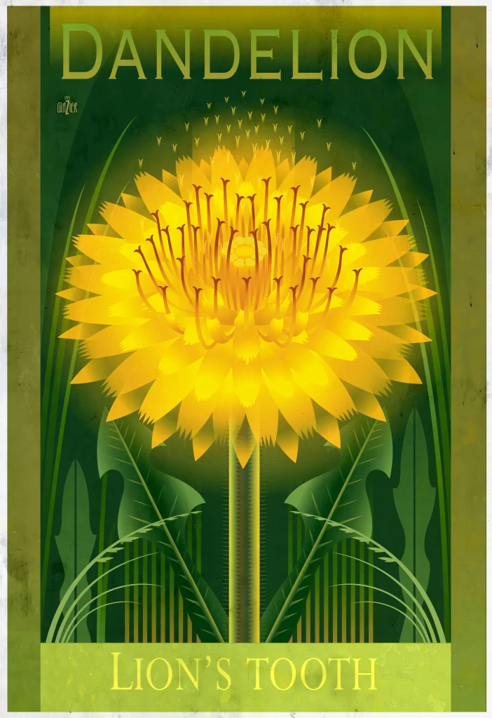 Dandelion Lions Tooth Flower Nature Art
