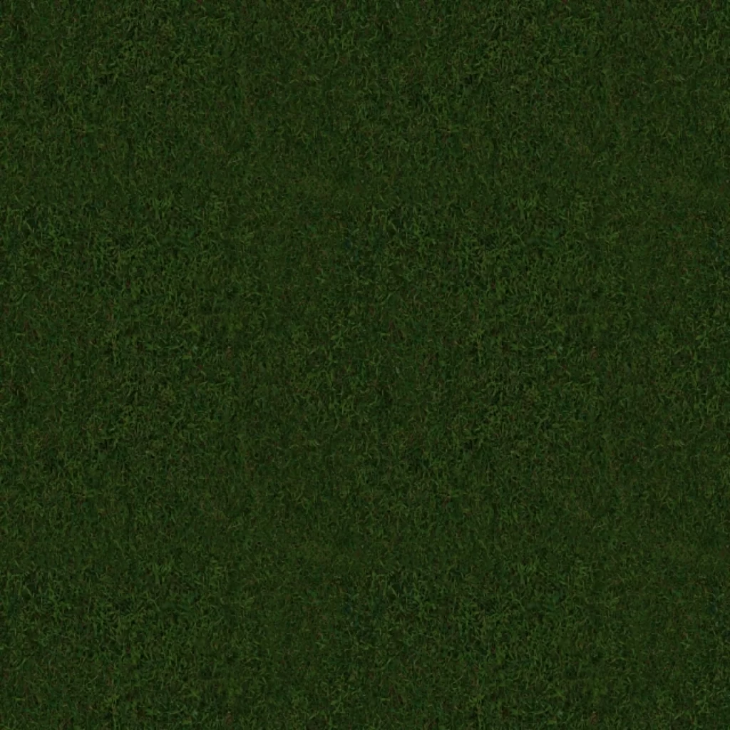 Dark Green Grass Texture