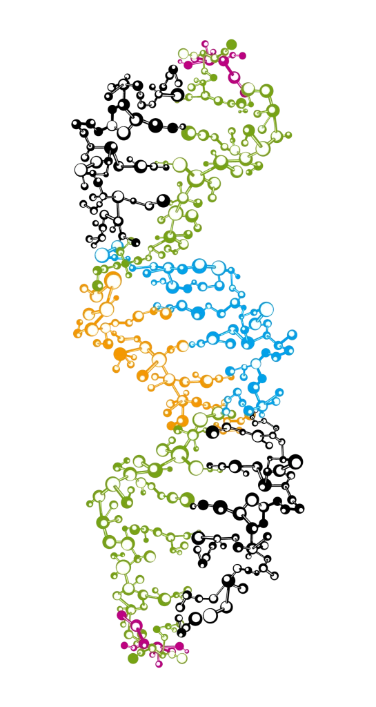 DNA Helix Molecular Structure