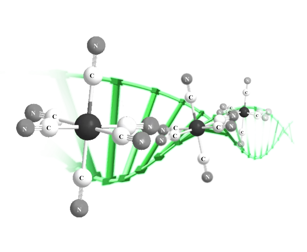 DNA Helix Molecular Structure Nucleotide Base Pairing