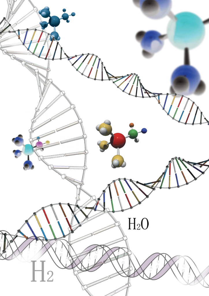 DNA Helix Molecular Structure Water Molecules
