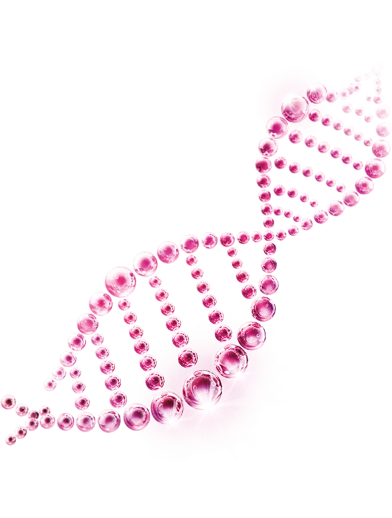 DNA Helix Pink Molecular Structure