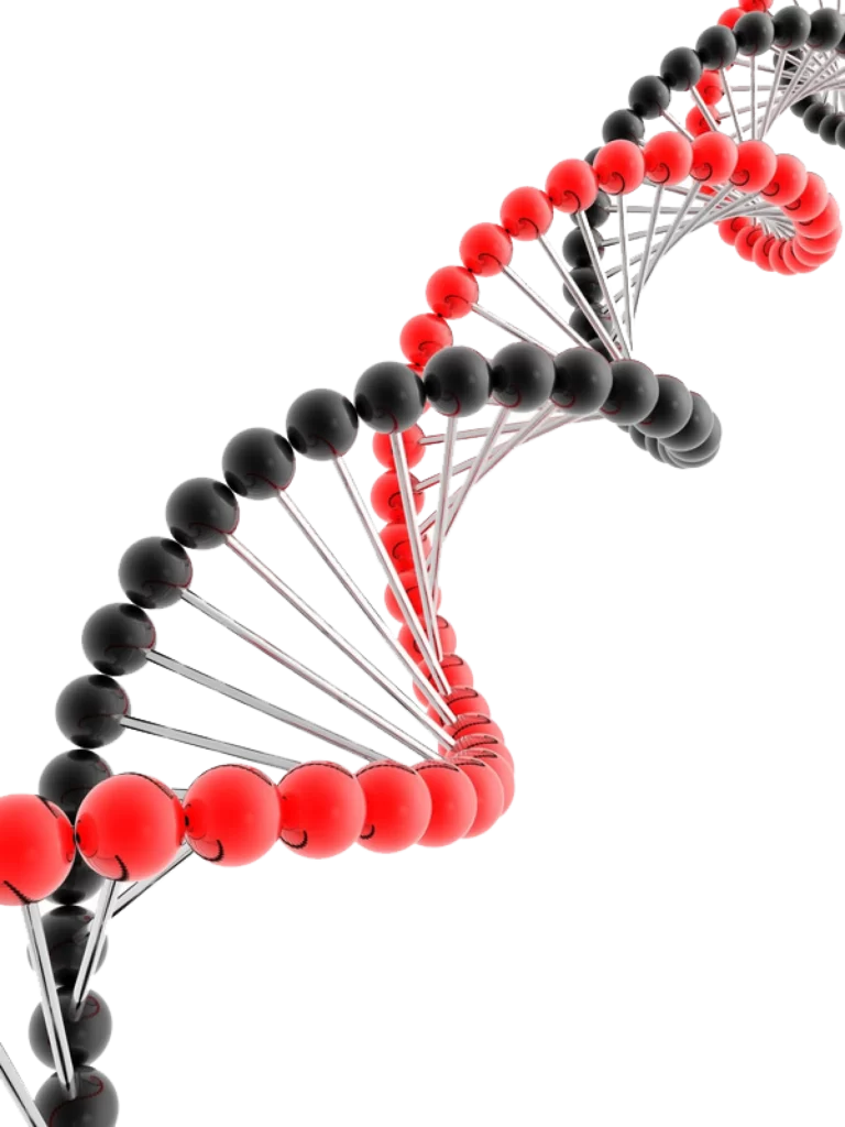 DNA Helix Red Black Structure