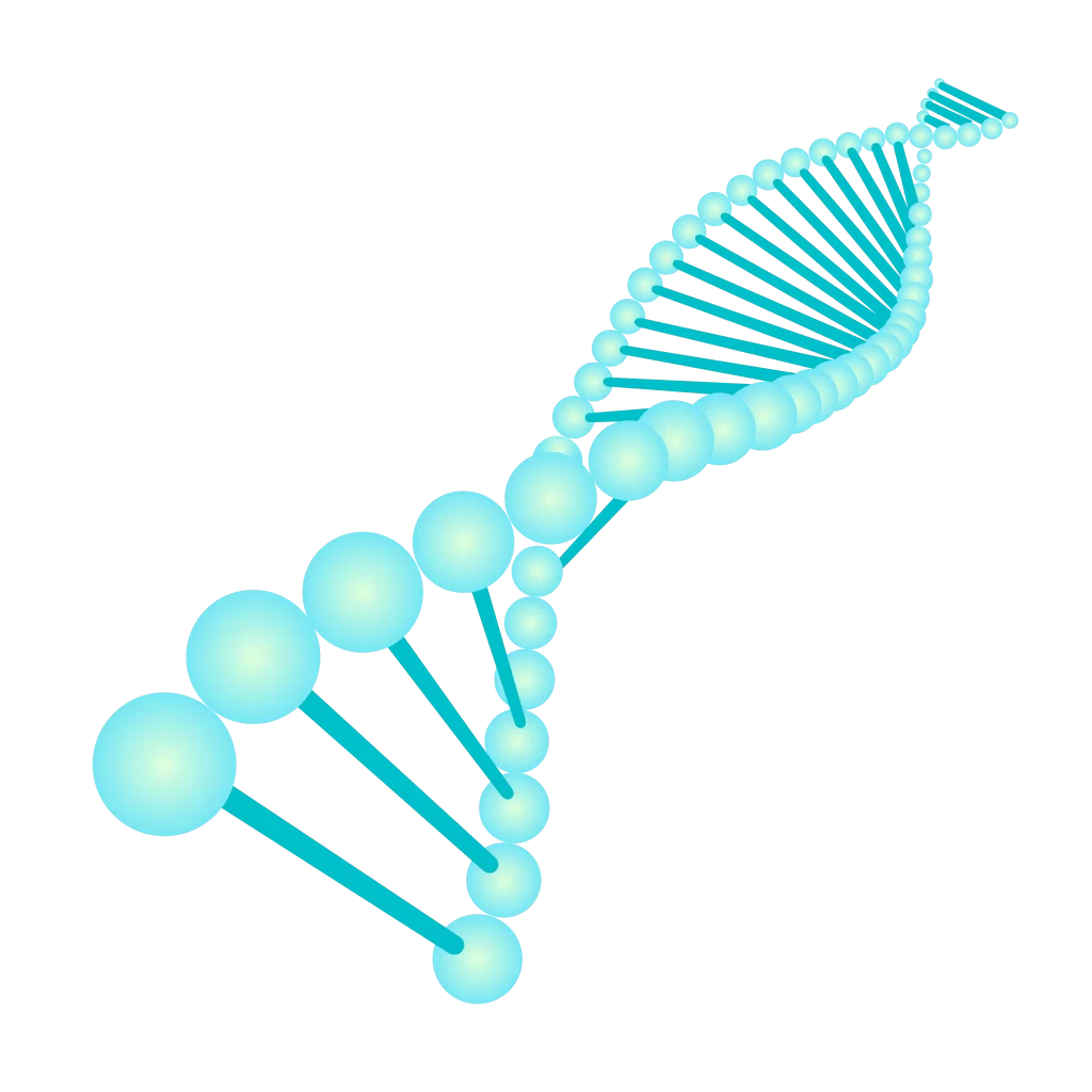DNA Helix Structure Genetic Information