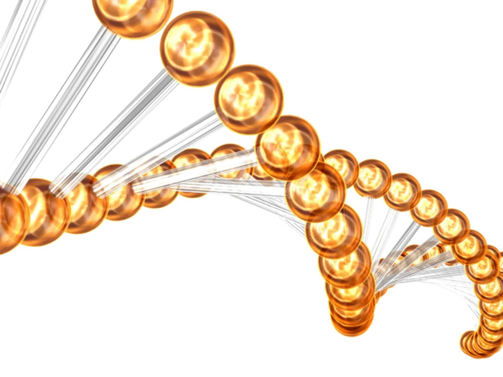 DNA Helix Structure Molecular Biology