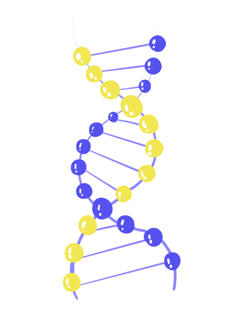 DNA Helix Yellow Blue Structure