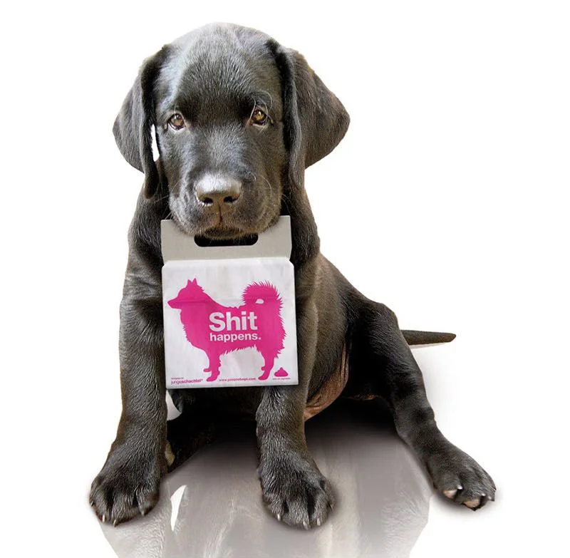 Dog food humorous pink white