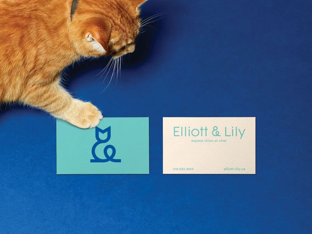 Elliott Lily Cat Food Blue Card Minimalist