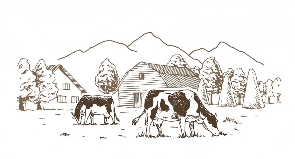 Farm Countryside Cows Barn Mountains