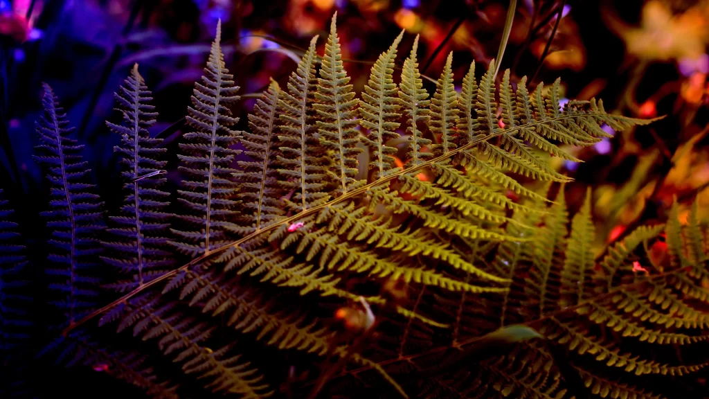 Fern Green Purple Yellow