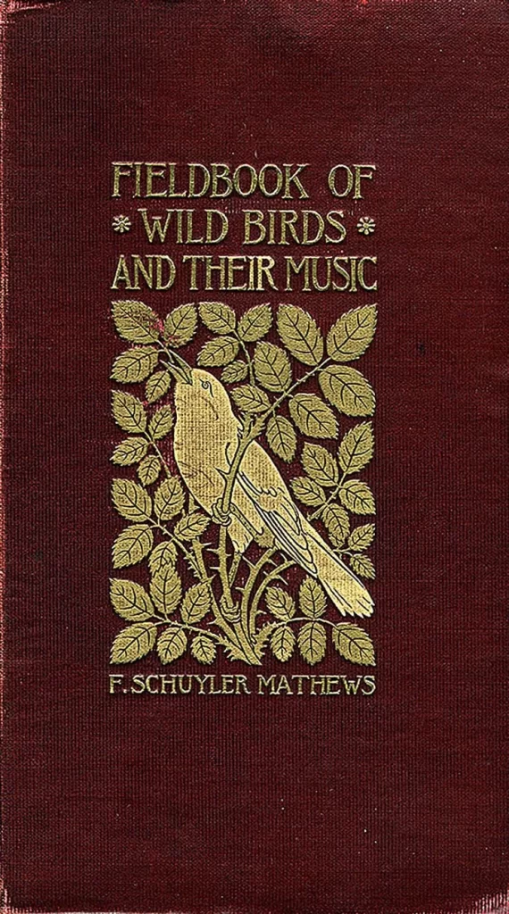 Fieldbook Wild Birds Music Nature Illustration Design