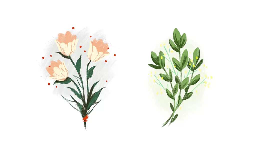 Floral Illustration Nature Botanical Art