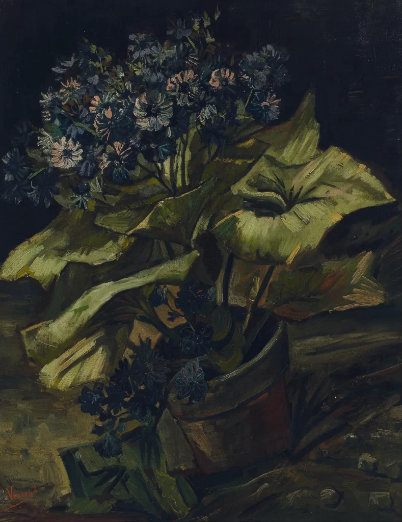 Flowerpot with Cineraria Van Gogh