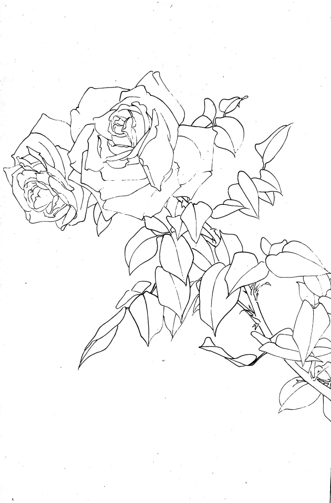 Freesia Chinese Line Drawing Botanical Art