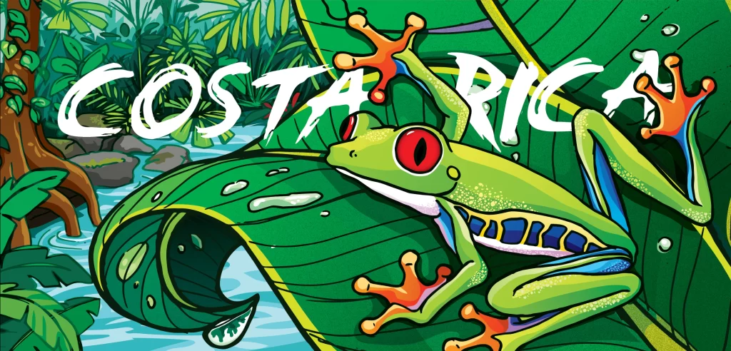 Frog Rainforest Costa Rica Nature