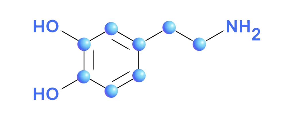 Glucose Molecule Chemical Structure Hydroxyl Amino Group