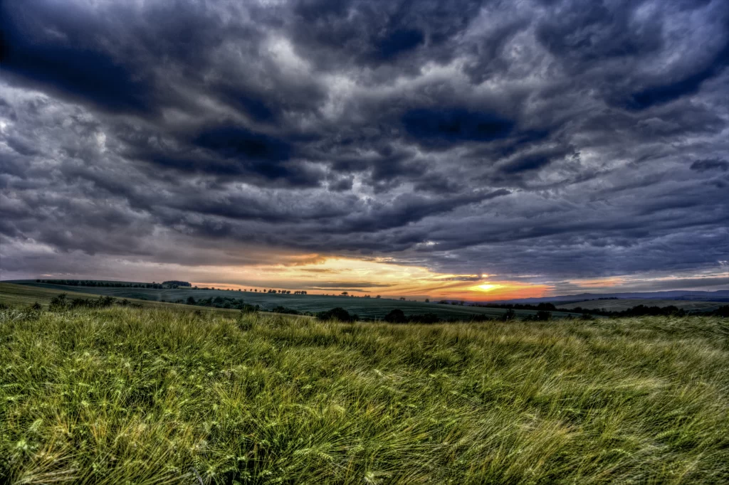 Golden Wheat Field Green Grass Blue Sky Dark Clouds Sunset