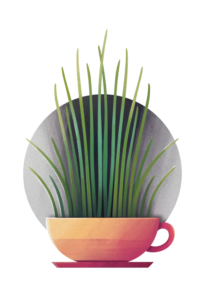 Grass Cup Plant Illustration