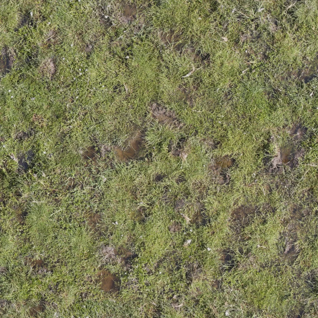 Grass Field Mud Puddles Nature