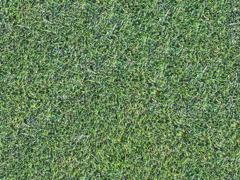 Green Grass Dense Texture Nature
