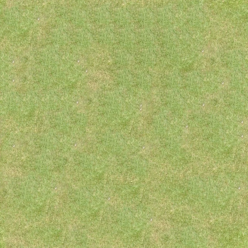 Grass Lawn Green Field