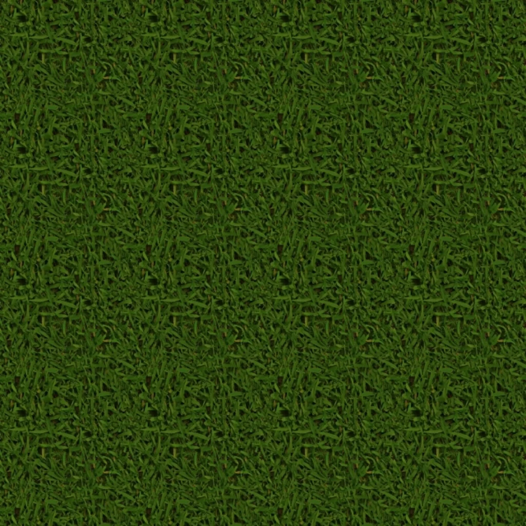 Grass Lawn Green Nature