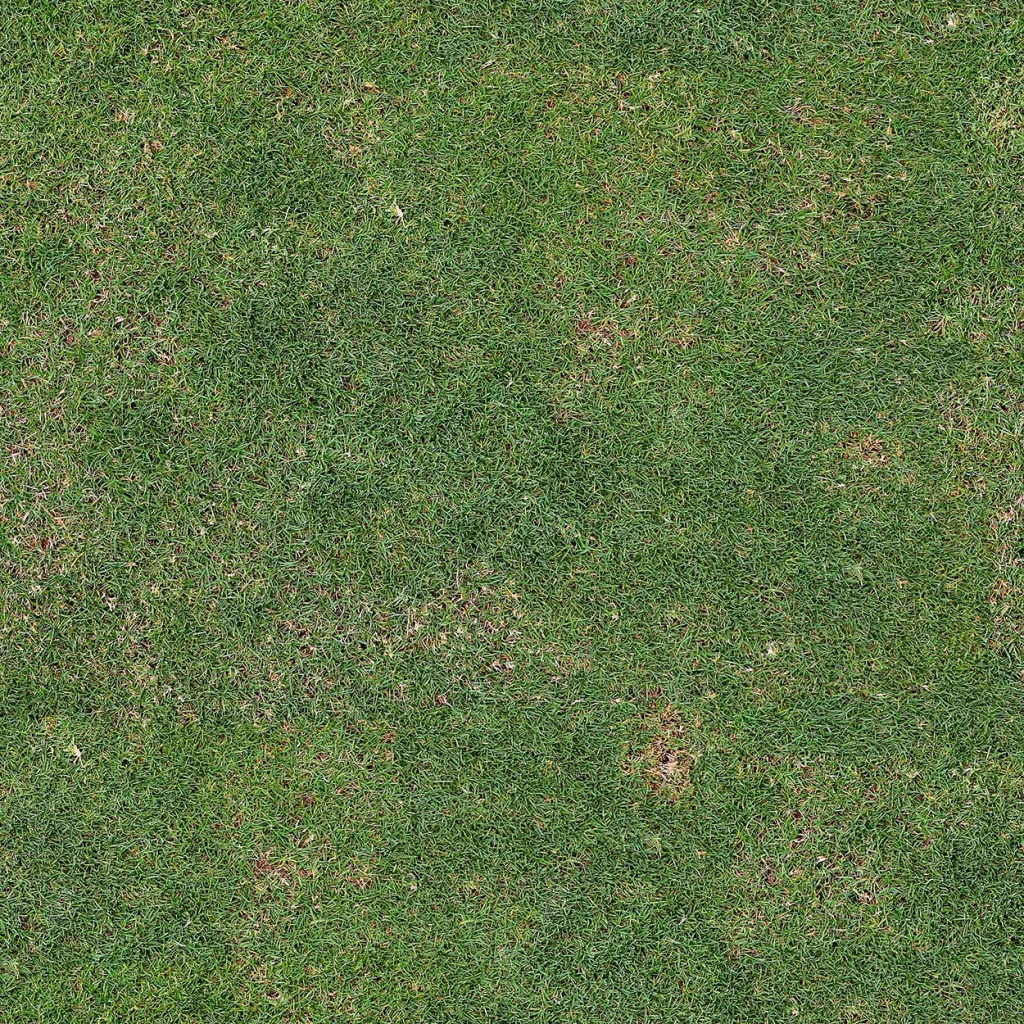 Green Grass Lawn Texture Nature