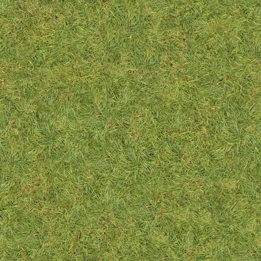 Grass Lawn Greenery Nature