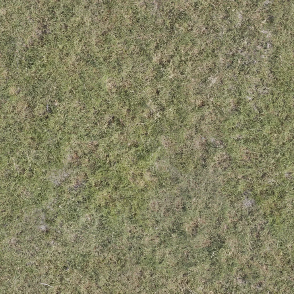 Grass Lawn Nature Greenery