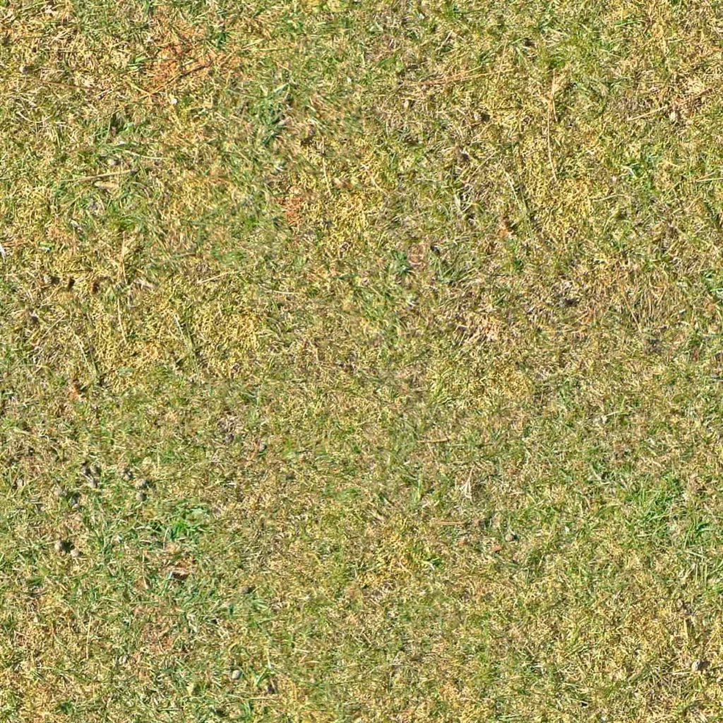 Grass Lawn Texture Nature