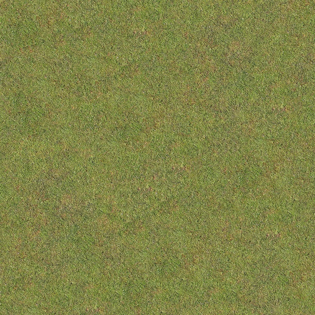 Grass Texture Green Field Lawn