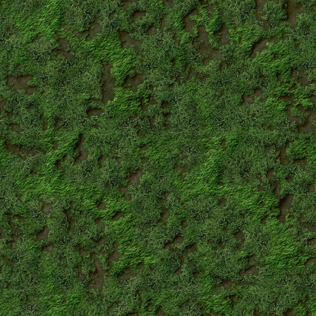 Grass Texture Nature Ground
