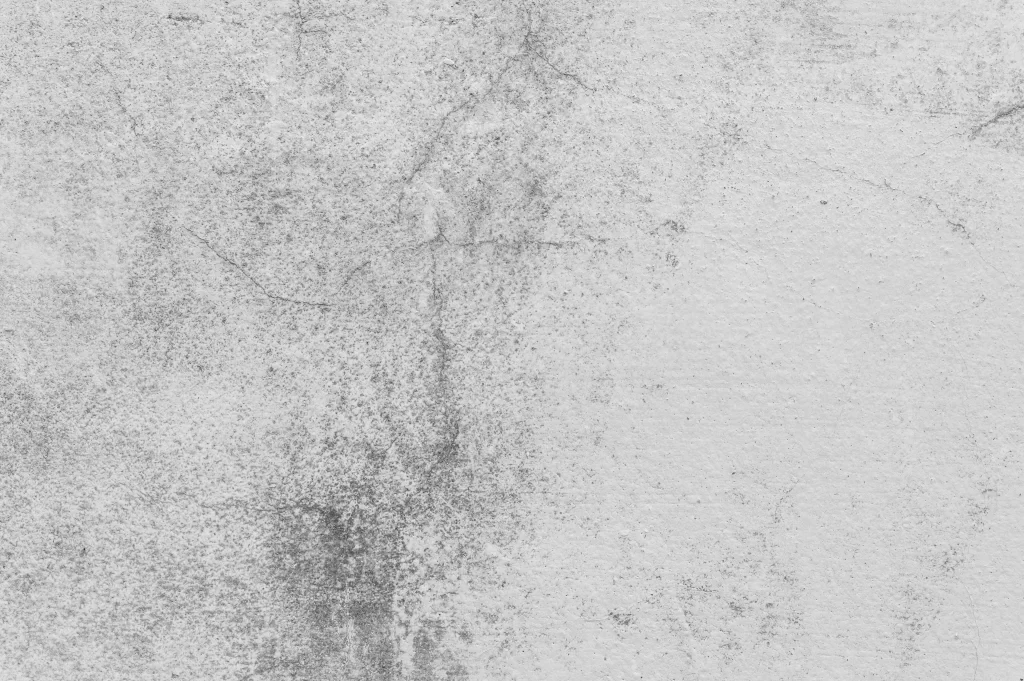 Grayscale Texture Abstract Pattern Surface Imperfections