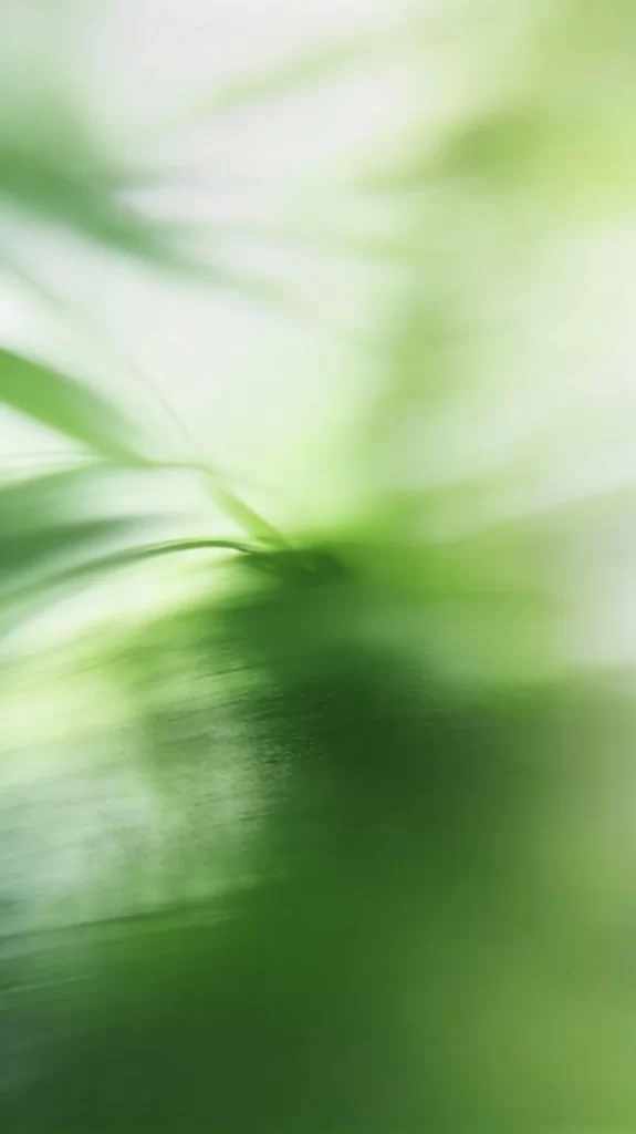 Green Blur Nature Abstract